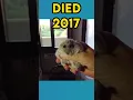 Download Lagu The Most Popular Meme Animals (then vs now)