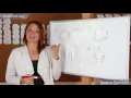 What Is An Aromatic Compound