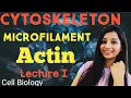 Cytoskeleton MICROFILAMENT Actin Filament PART I Cell Biology Lecture series Csirnet Gate IITJAM