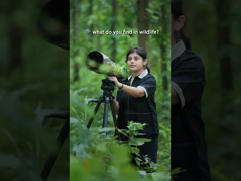 What do you find in wildlife? #wildlife #nature #aparupadeyphotography #nikonz9