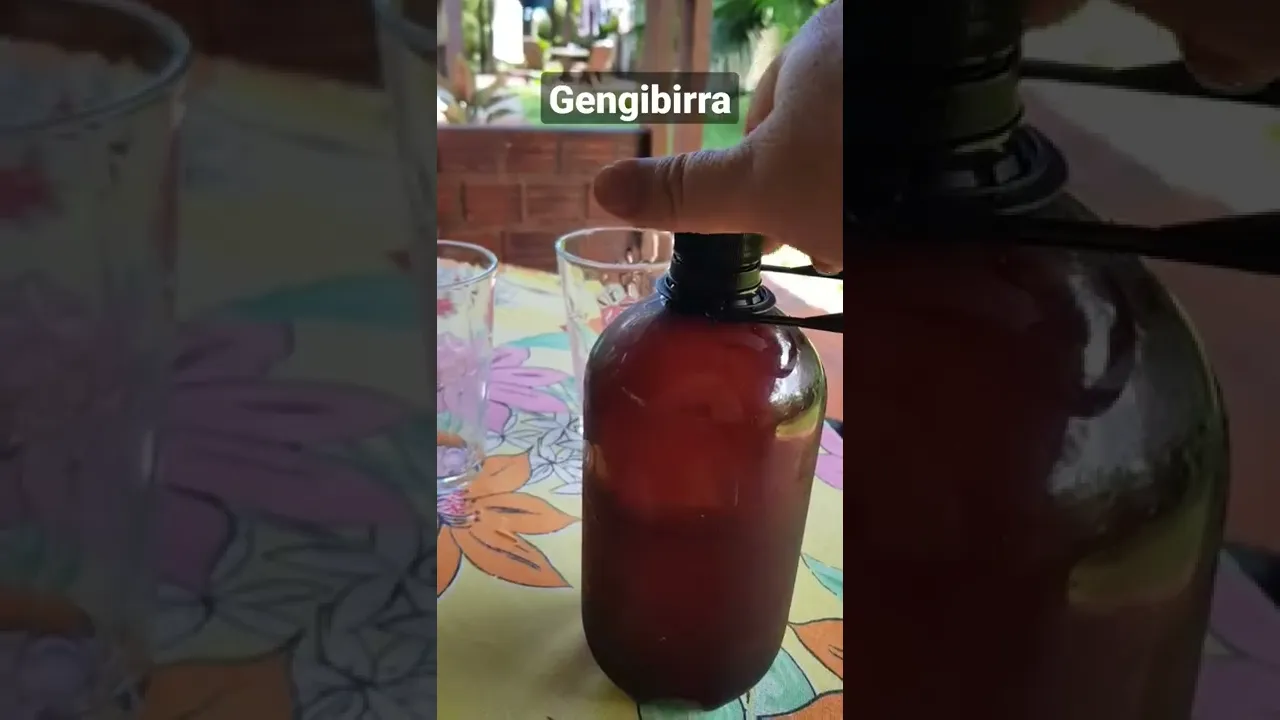 Gengibirra: Uma dose de saúde com esse probiótico caseiro natural e sem conservantes. #microbiota