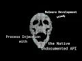 Process Injection with the Native Undocumented API - Malware Development