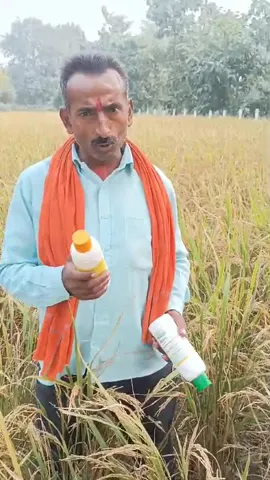 संत कबीर नगर के किसान ने धान की उत्तम खेती का बताया कैसा राज   |वनइंडिया हिंदी