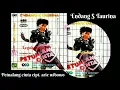 Download Lagu Endang S Taurina - Petualang Cinta cipt.ari wibowo