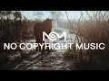 Dog and Pony Show - Silent Partner (No Copyright Music)