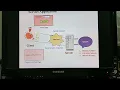 Server Side Java Programming - Servlet