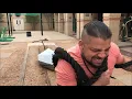 Temple VA hospital opens new Warrior Fitness Park