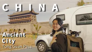 西安兵马俑｜中国乡村女皇陵墓｜潼关