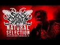Download Lagu Signs of the Swarm - \