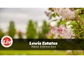 Liv in Lewis Estates Edmonton - A neighbourhood tour