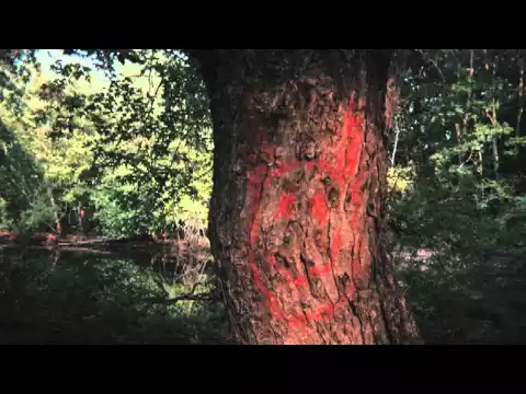 The Smiley Face Killers Trailer