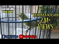 Download Lagu CIAK KREKEK JOSS KECIAL KUNING SI RETE