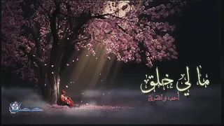 مالي خلق عزف موسيقى 