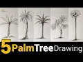 5 Palm Tree Drawing Pencil Drawing with Shading