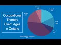 Who do occupational therapists work with