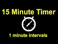 15 Minute Timer in 1 Minute Intervals Beep Ends Each Minute