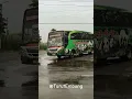 Download Lagu Bus Restu Panda Racun Asmara Surabaya Ponorogo #bismania #busjatim #busmania #restupanda
