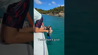 Dive in! Marine life awaits!