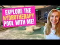 Touring Holland America s Hydrotherapy Pool A Relaxing Oasis at Sea