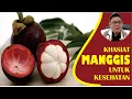KHASIAT BUAH MANGGIS UNTUK KESEHATAN YANG WAJIB DIKETAHUI