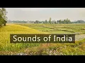 Download Lagu The sounds of the Indian countryside