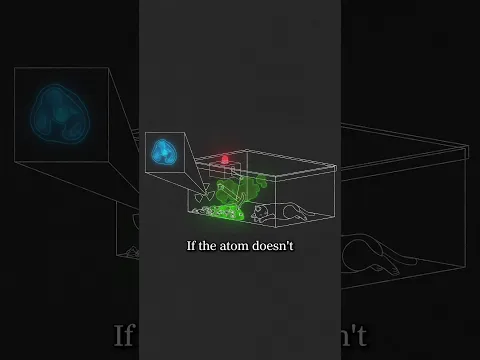The Most Controversial Thought Experiment In Physics