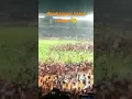 perpisahan sama legend persija jakarta #shorts #shortvideo #shortsviral