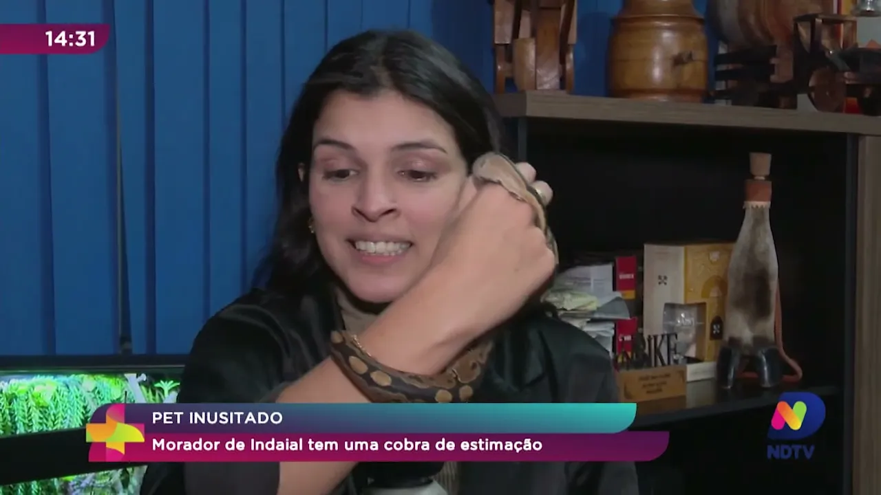 Pet inusitado: morador de Indaial tem cobra de estimação