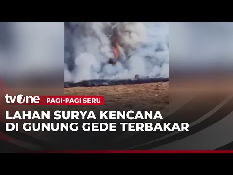 Lahan Kering Gunung Gede Pangrango Terbakar