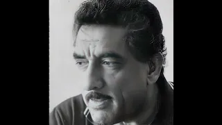 محمد جواد اموري   على حطة ايدك دندنها