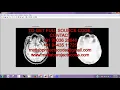 Matlab code for The connected brain