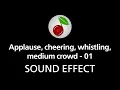 🎧 Applause, cheering, whistling, medium crowd - 01 SOUND EFFECT