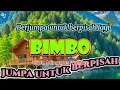 Download Lagu Jumpa untuk berpisah - Bimbo (LIRIK)