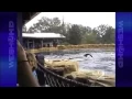 SeaWorld Tourist Shown At Hearing
