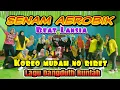 Download Lagu SENAM AEROBIK BEAT LANSIA | GERAKAN MUDAH NO RIBET | sandra smaz