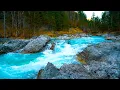 Download Lagu Mountain River Waterfall Flowing 24/7. Water Sounds, Nature White Noise. River Sounds for Sleeping.