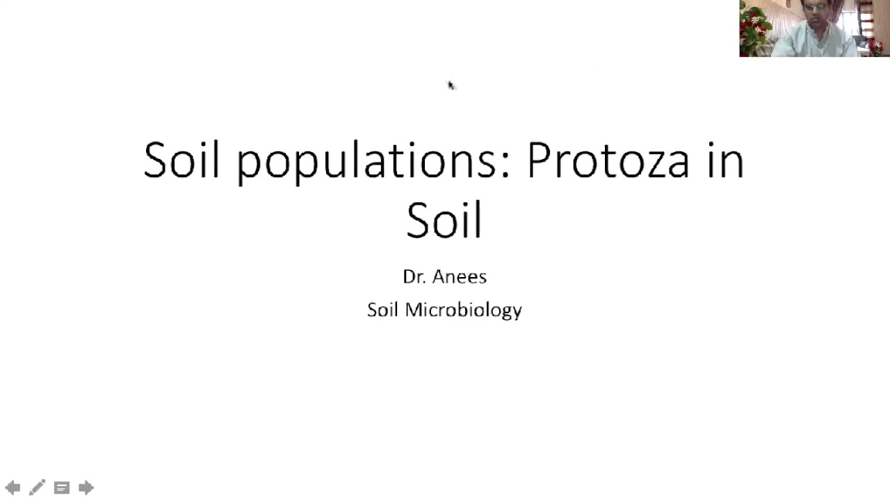 FACULTY328 MIC316 KUST20201 | L07 V1 Soil Pop Protozoa in Soil | by Dr.Muhammad Anees