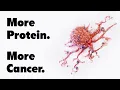 Download Lagu Why High Protein Diets Could Be Dangerous | Dr. Valter Longo