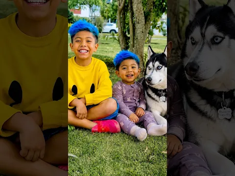 SANTI SE RÍE DE SU PERRO POR SU GAS #santioficial #funny #viral #viralshorts