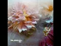 Blowfish - Tinlicker