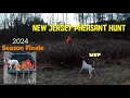 Pheasant Season Finale 2024 New Jersey Public Land Crowed fields P Hunter