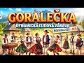 Lagu HORALEČKA (Dynamic Folk Party 2026) – Slovenský Cover ✨🇸🇰