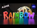 ASMR Mukbang Eating Rainbow Food Turtle Tortoise 159