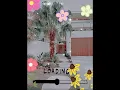 Tut on how to get cute and aesthetic backgrounds for ZEPETO