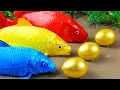 Download Lagu Best Of Small Fish Recipe | MINIATURE Fish Cooking Made EASY with Simple Recipe