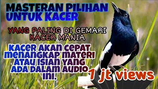masteran kacer full isian tengkek buto cililin gereja tarung kapas tembak belalang kecek 