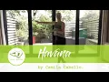 Download Lagu Easy Dance Fitness routine - Havana by Camila Cabello