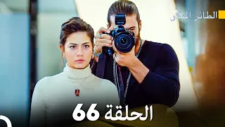 مسلسل الطائر المبكر الحلقة 66 Arabic Dubbed FULL HD 
