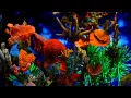 Download Lagu Robert Plant - In The Mood HD
