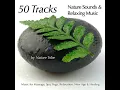 Call of The Dove (Nature Sounds, Rain & Flutes for Massage) - Nature Tribe